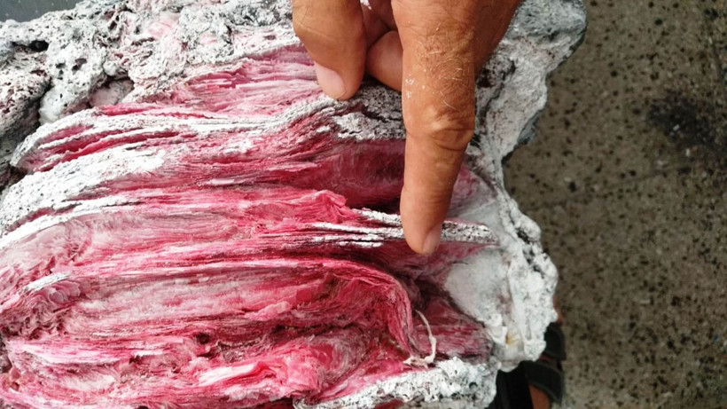 Muğla'da denizde yüzerken bulmuştu! Ne olduğu ortaya çıktı - Resim: 4