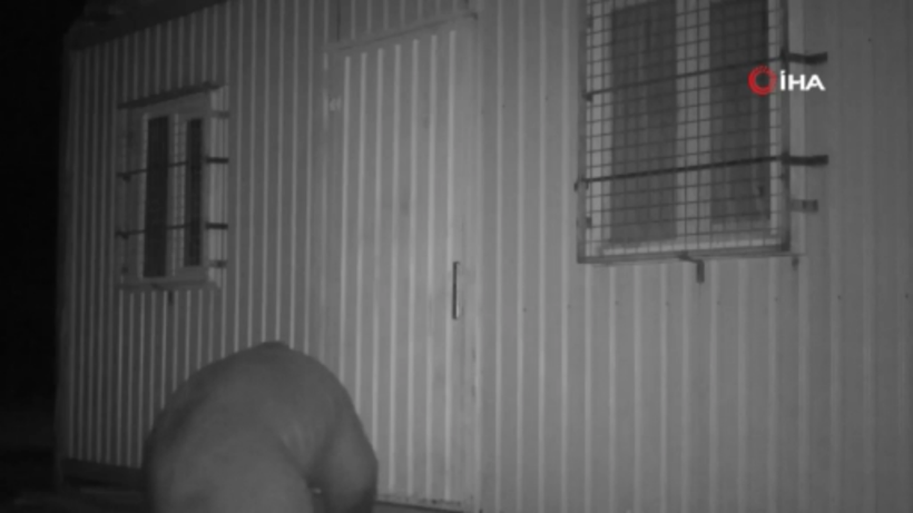 Trabzon'da balın kokusunu alan ayı kapıyı açmak için böyle uğraştı - Resim: 4