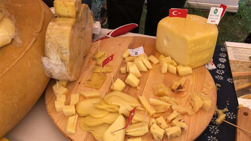 Kars'taki 'Anadolu Peynirleri Buluşması'nda 32 ilden gelen peynirler beğeniye sunuldu - Resim: 3