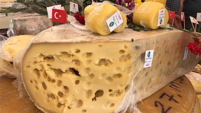 Kars'taki 'Anadolu Peynirleri Buluşması'nda 32 ilden gelen peynirler beğeniye sunuldu - Resim: 4
