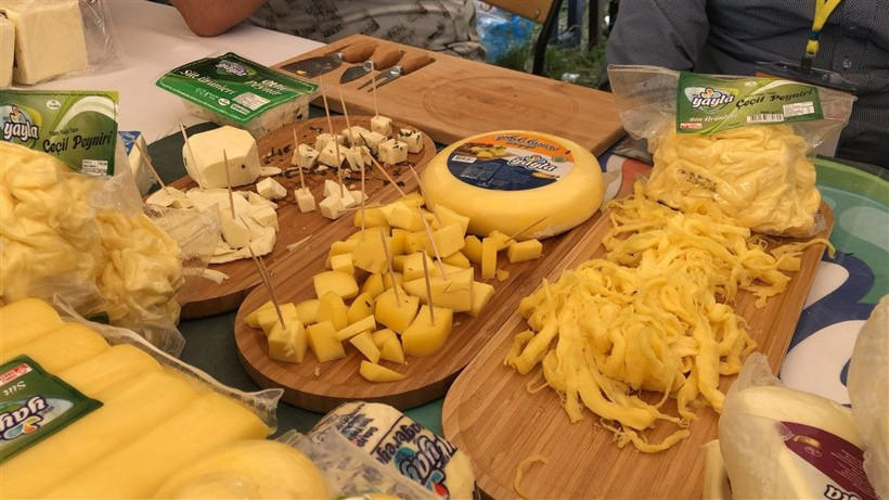 Kars'taki 'Anadolu Peynirleri Buluşması'nda 32 ilden gelen peynirler beğeniye sunuldu - Resim: 2