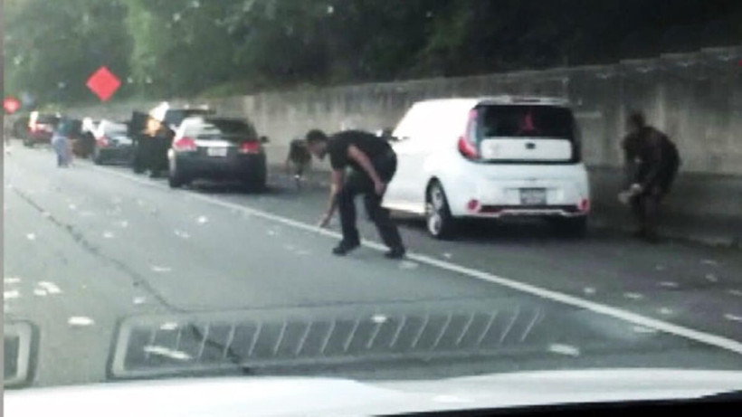 ABD'de zırhlı araçtan otobana 175 bin dolar saçıldı - Resim: 2