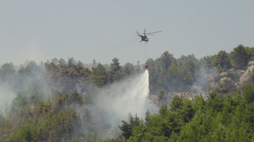 Mersin'de orman yangını! Kontrol altına alındı - Resim: 2