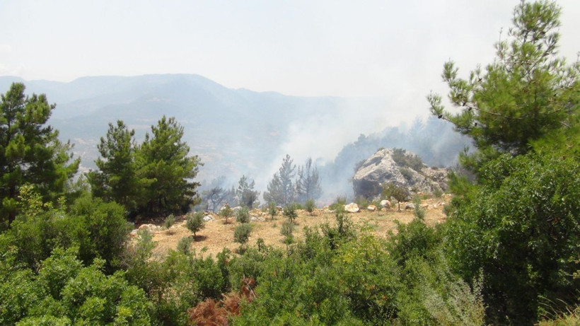 Mersin'de orman yangını! Kontrol altına alındı - Resim: 3