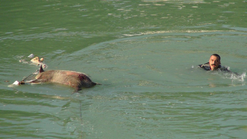 Yardım için ırmağa koştular gördükleriyle şaşkına döndüler - Resim: 1