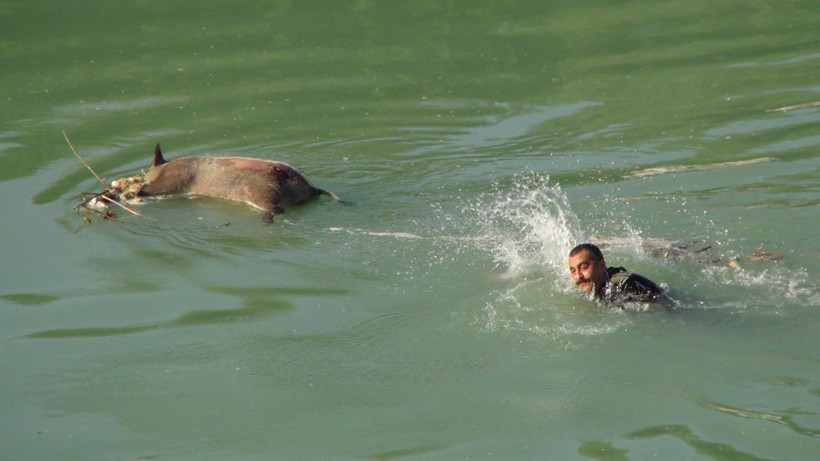 Yardım için ırmağa koştular gördükleriyle şaşkına döndüler - Resim: 2