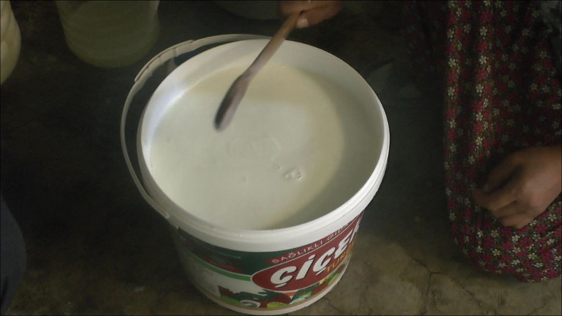 Muşlu vatandaşlar korku içinde peynir ve sütten hastalık kapıyorlar - Resim: 3