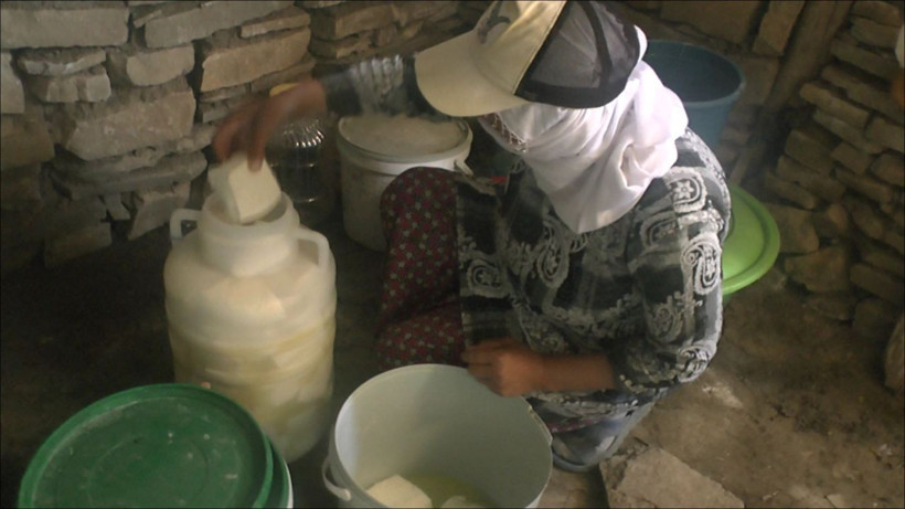 Muşlu vatandaşlar korku içinde peynir ve sütten hastalık kapıyorlar - Resim: 1