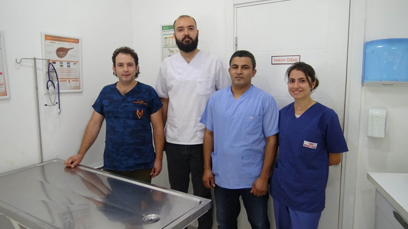 Japon balığına dev operasyon başındaki büyük tümör alındı - Resim: 2