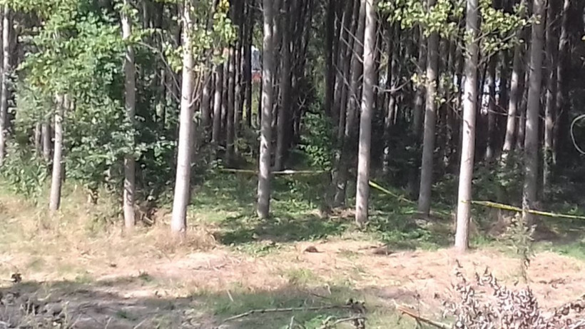 Sakarya'da boğazı kesilmiş erkek cesedi bulundu - Resim: 4