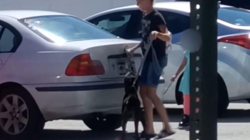 ABD'de bir kadın barınağa kabul edilmeyen köpeğini bagaja kilitledi - Resim: 1