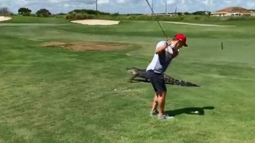 Timsaha rağmen golf oynamaya devam etti - Resim: 1