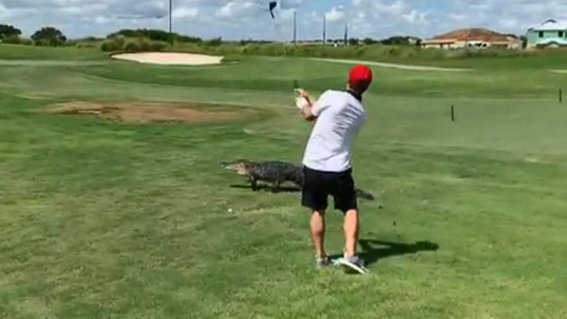 Timsaha rağmen golf oynamaya devam etti - Resim: 3