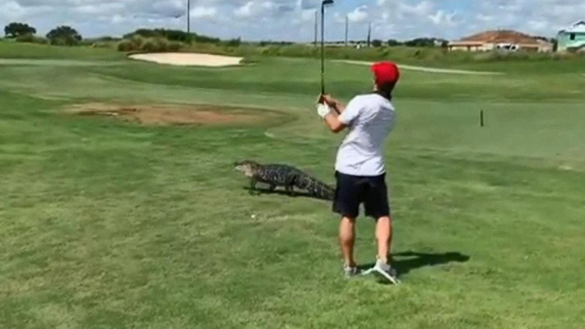 Timsaha rağmen golf oynamaya devam etti - Resim: 4