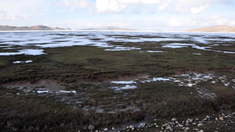 Adeta çöle döndü Van'da bulunan Akgöl'ün son hali içler acısı - Resim: 4