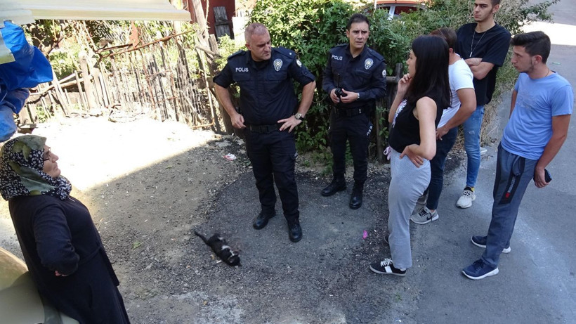 Karabük'te ayakları kesik ölü kedi bulundu - Resim: 3