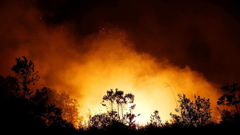 Endonezya'da 40 milyon kişi tehlikede! Orman yangınları nedeniyle hava kirliliği 23 kat arttı - Resim: 1