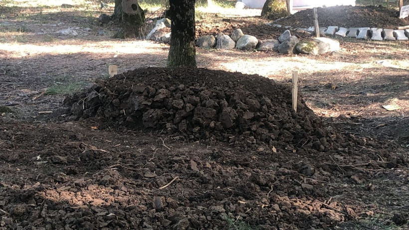 9 yaşındaki Suriyeli çocuk mezarlık kapısına kendisini astı - Resim: 2