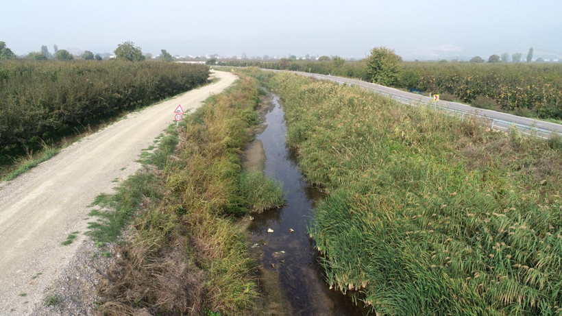 Bursa Valiliğinden toplu balık ölümleriyle ilgili açıklama - Resim: 3