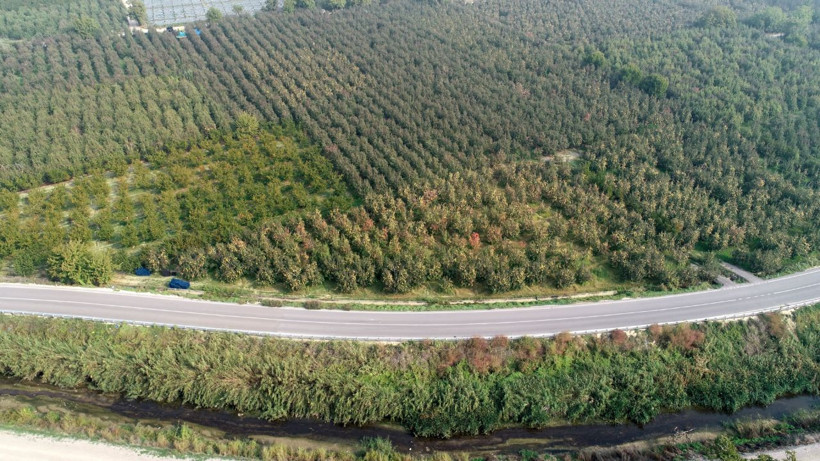 Bursa Valiliğinden toplu balık ölümleriyle ilgili açıklama - Resim: 4