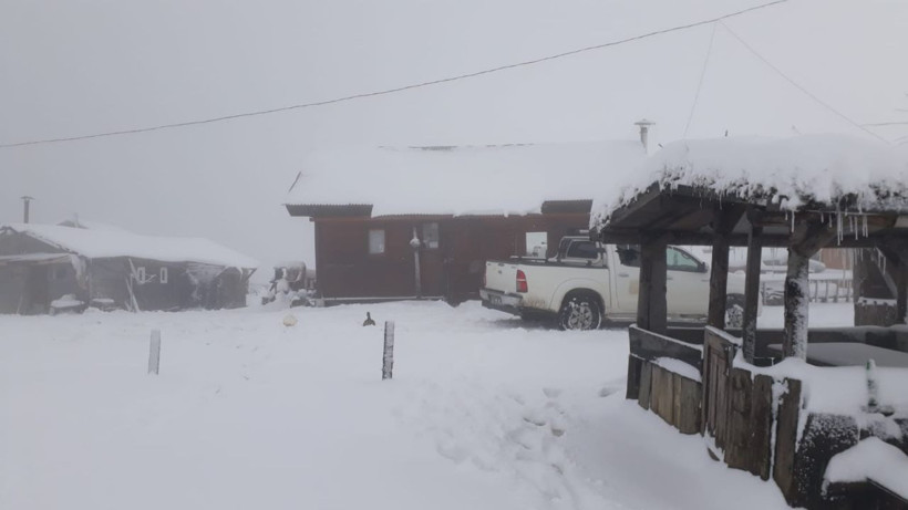 Rize'de yaylada mahsur kalan 23 kişiye ulaşıldı - Resim: 1