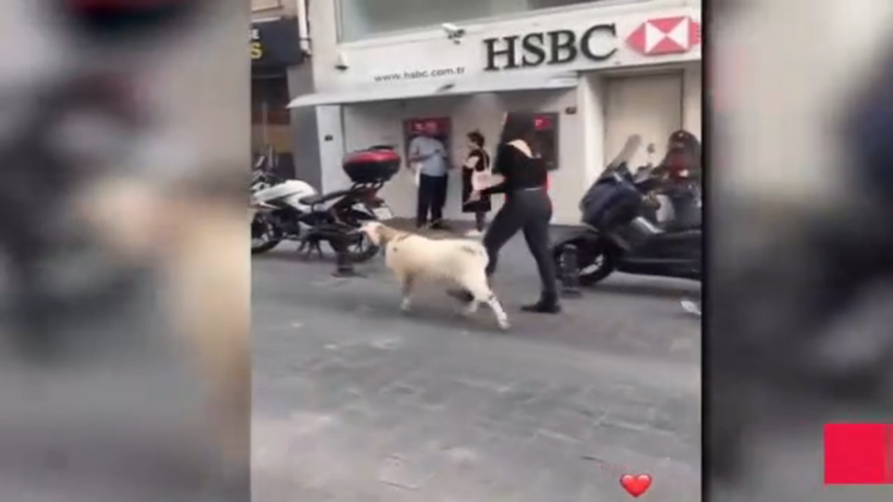 Hamdi Alkan'ın kızı Zeynep Alkan Taksim'de yaptığıyla herkesi hayrete düşürdü - Resim: 3