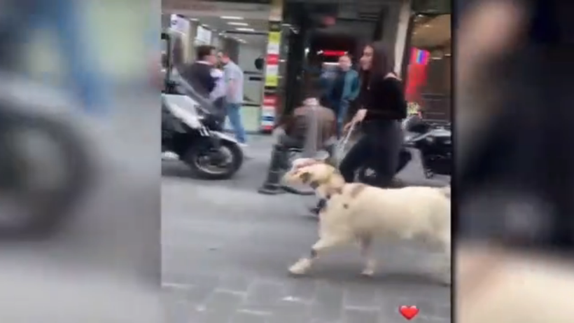 Hamdi Alkan'ın kızı Zeynep Alkan Taksim'de yaptığıyla herkesi hayrete düşürdü - Resim: 4