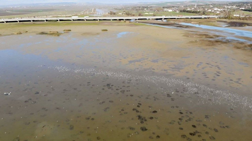 İstanbul susuz mu kalıyor! Büyükçekmece Gölü’nde sular çekildi - Resim: 4