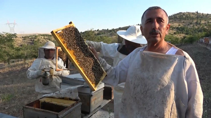 Yeni gelir kapısı oldu kilosu 150 lira - Resim: 1