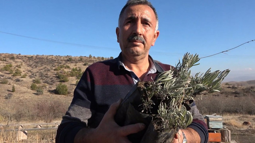 Yeni gelir kapısı oldu kilosu 150 lira - Resim: 3