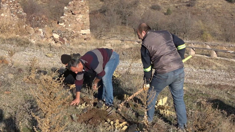 Yeni gelir kapısı oldu kilosu 150 lira - Resim: 4