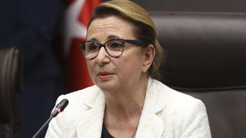 ADA'dan bomba anket! Türkiye'nin en güvenilir bakanı soruldu bakın kim çıktı - Resim: 2