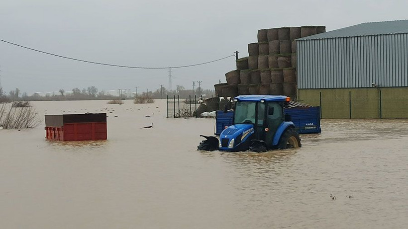 Hırsızlar sele sebep oldu Bursa'da binlerce dönüm ve 2 bin boğa suya battı - Resim: 2
