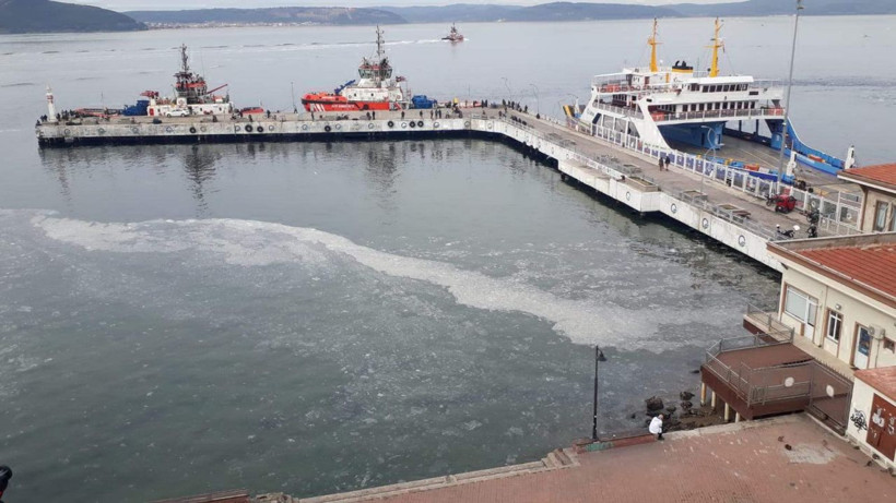 Çanakkale Boğazı'ndaki jelimsi tabakaya inceleme - Resim: 1