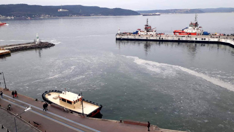 Çanakkale Boğazı'ndaki jelimsi tabakaya inceleme - Resim: 2