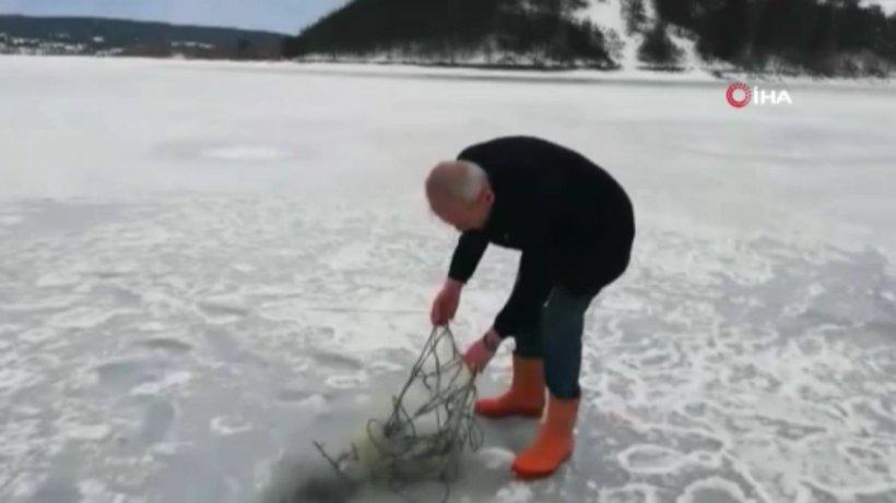 Baraj donunca ortaya çıktı! Kastamonu'da balıkçı ağlarına takıldı - Resim: 1