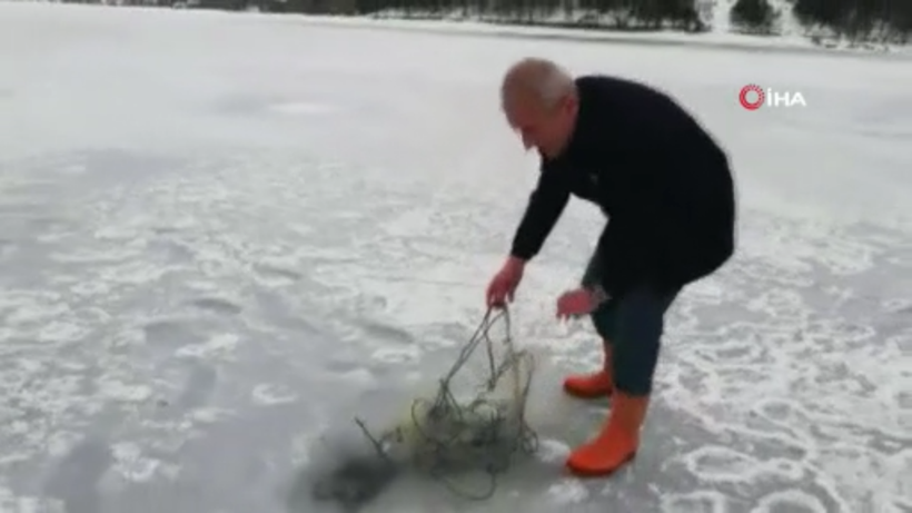 Baraj donunca ortaya çıktı! Kastamonu'da balıkçı ağlarına takıldı - Resim: 2