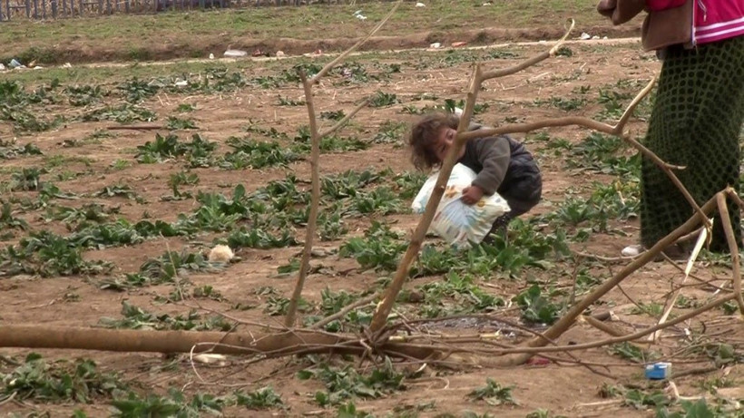 Suriyeli minik mültecinin ağır yükü - Resim: 1