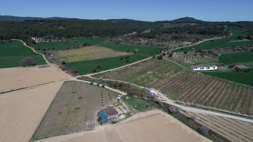 Çanakkale'de 2 bin yıllık antik kenti soymaya kalkan defineciyi profesör yakaladı - Resim: 2