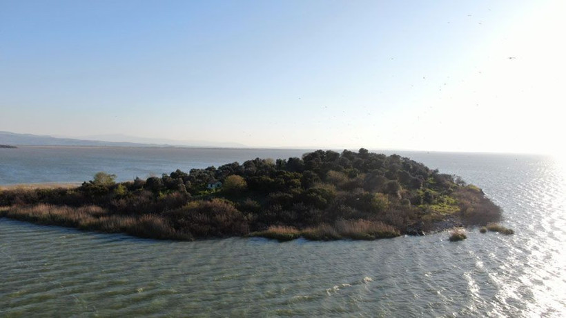 Ada sahibi çiftçi Ronaldo’dan umudu kesti Fatih Terim’e seslendi - Resim: 1