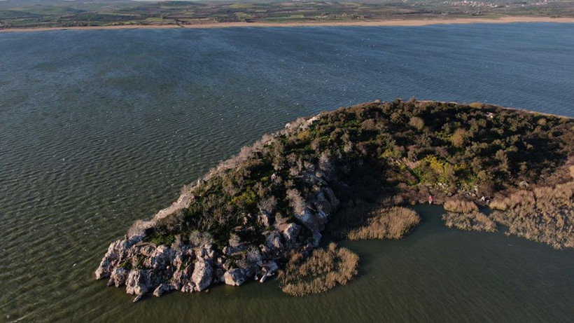 Ada sahibi çiftçi Ronaldo’dan umudu kesti Fatih Terim’e seslendi - Resim: 3