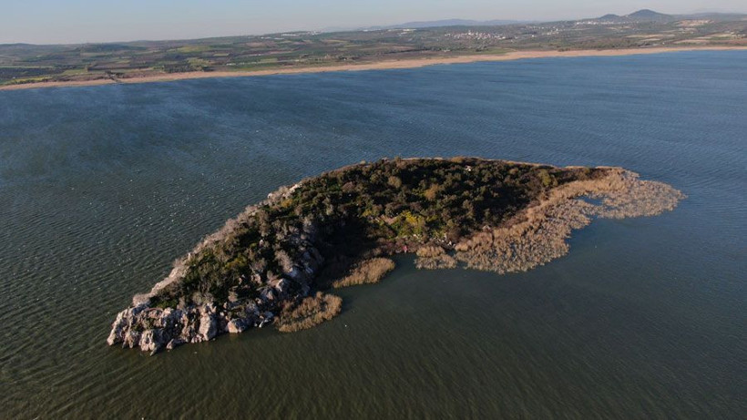 Ada sahibi çiftçi Ronaldo’dan umudu kesti Fatih Terim’e seslendi - Resim: 4