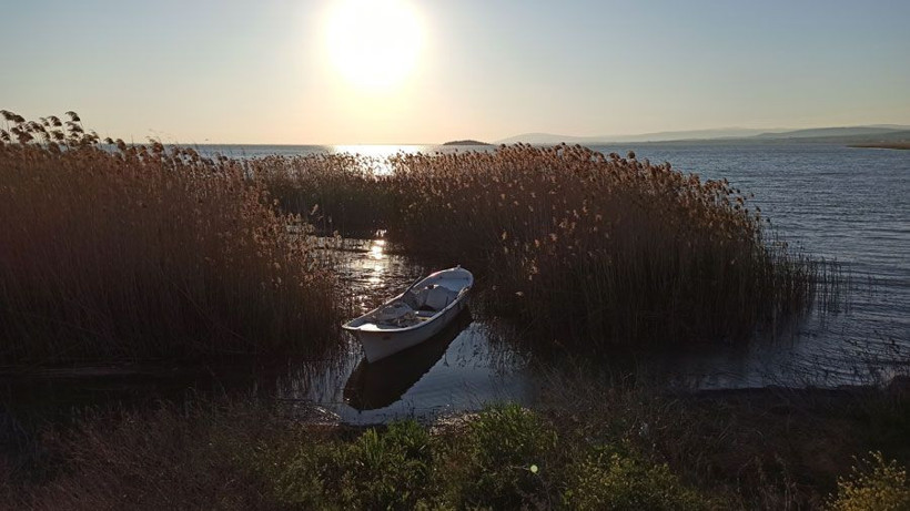 Ada sahibi çiftçi Ronaldo’dan umudu kesti Fatih Terim’e seslendi - Resim: 2