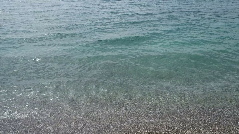 Koronavirüs tedbirleri Antalya'nın denizine yaradı - Resim: 3