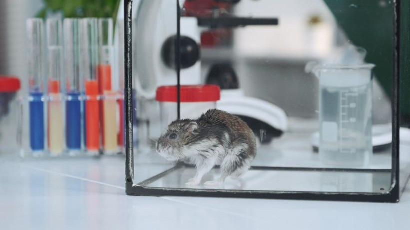 Maske takmak koronavirüsün yayılımını yüzde 75 azaltıyor - Resim: 3