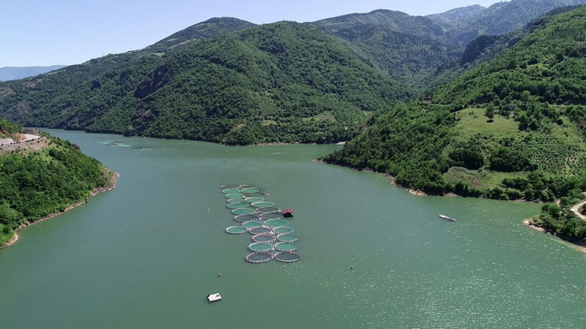 Koronavirüsten sonra artan somon siparişlerine yetişemiyorlar - Resim: 2