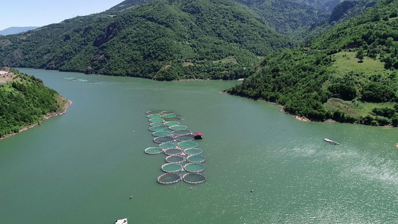 Koronavirüsten sonra artan somon siparişlerine yetişemiyorlar - Resim: 3