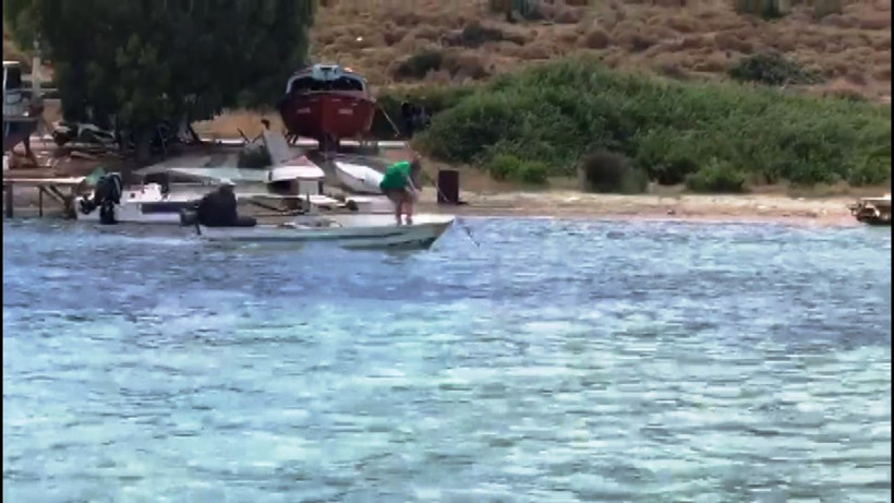 Muğla'da köpek balığını işkence ederek vahşice öldürdüler - Resim: 4