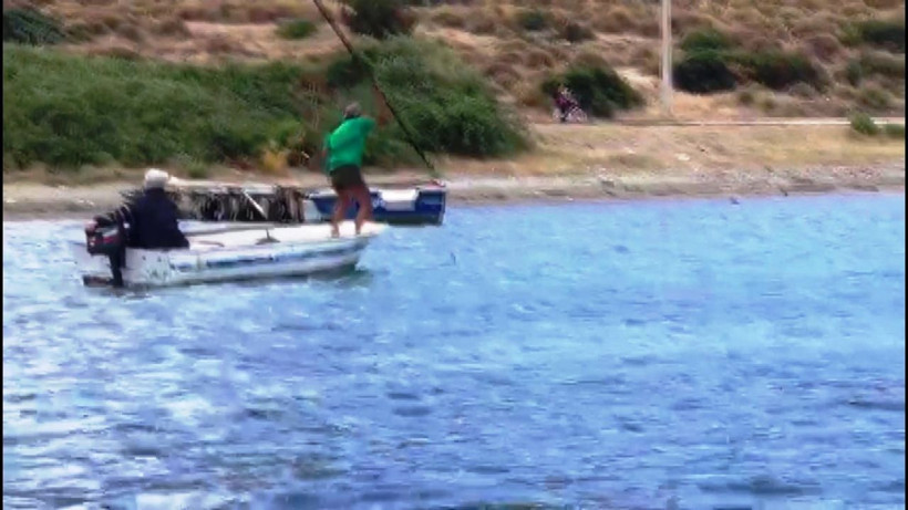 Muğla'da köpek balığını işkence ederek vahşice öldürdüler - Resim: 1