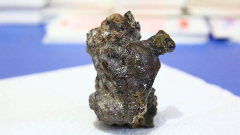 Artvin'de kız çocuğu buldu 'Talih kuşu kondu' diye yaşanan gök taşı sevinci - Resim: 1